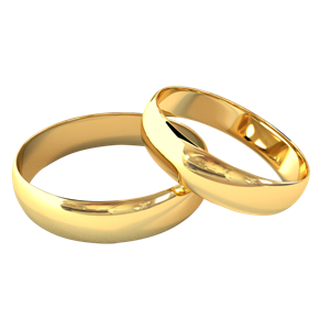 Wedding rings PNG-19478